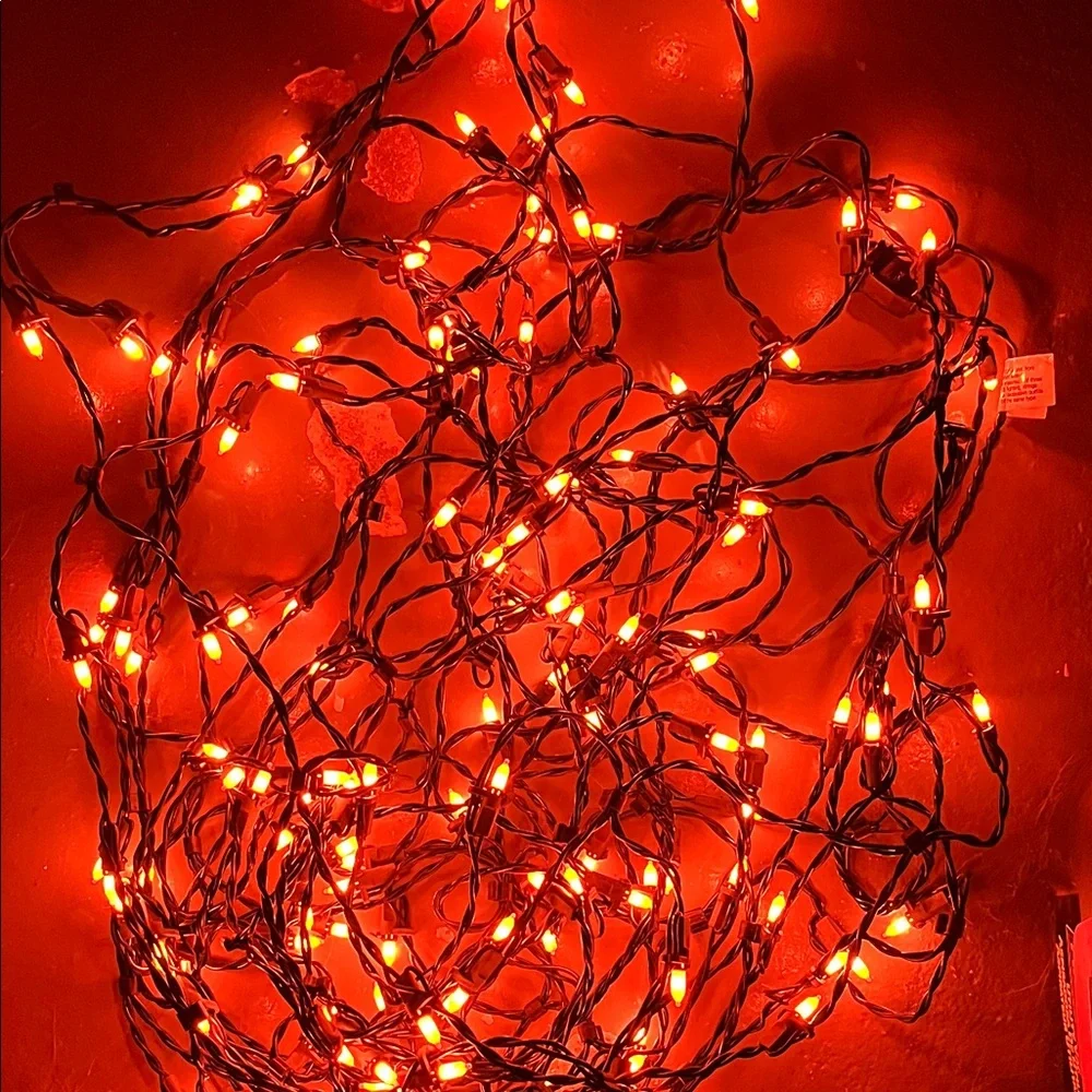 Halloween Net Lights (Orange)